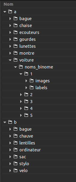 Arborescence du dataset