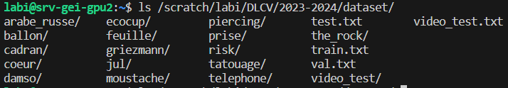 Dataset DLCV
