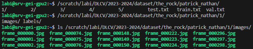 Dataset DLCV