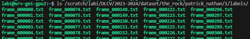 Dataset DLCV