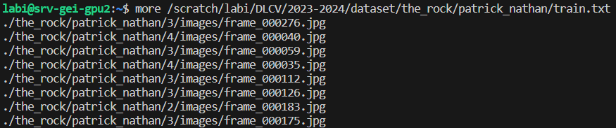 Dataset DLCV