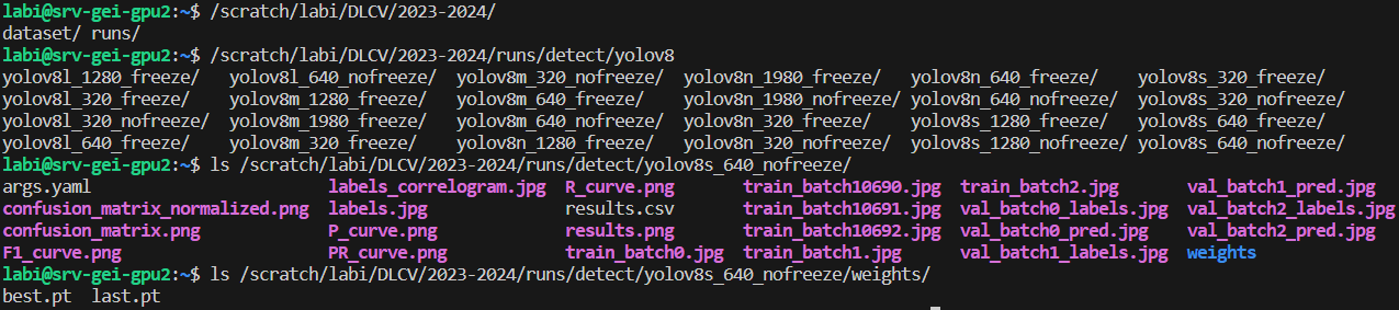 Dataset DLCV